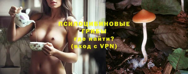 ГАЛЛЮЦИНОГЕННЫЕ ГРИБЫ Балахна