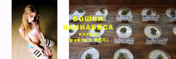 ГАЛЛЮЦИНОГЕННЫЕ ГРИБЫ Балахна